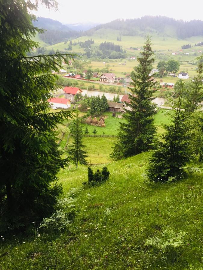 Отель Casa Carmen Дорна Арини Экстерьер фото
